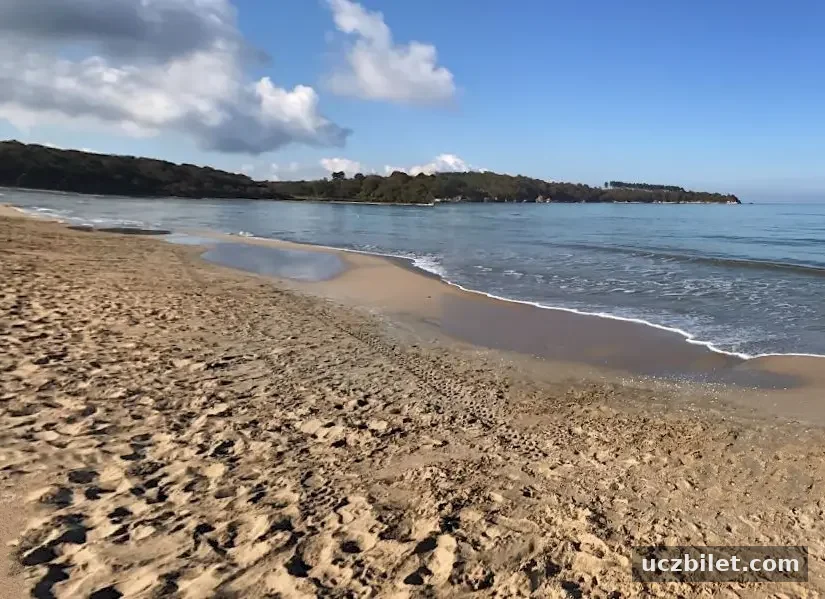 Kumcağız Plajı, Kocaeli sarı altın rengi kuma vuran deniz dalgası görünümü eşliğinde plajın muhteşem manzarası