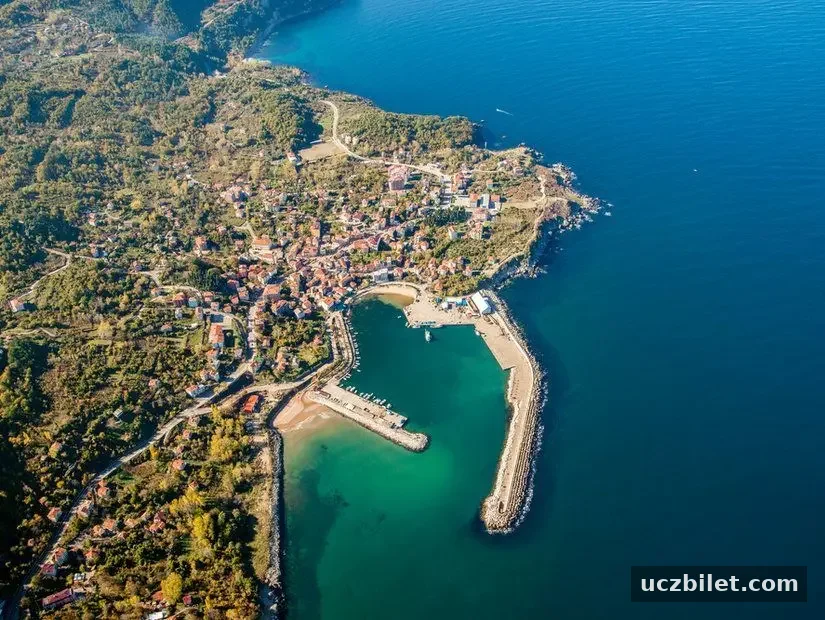 kurucasile