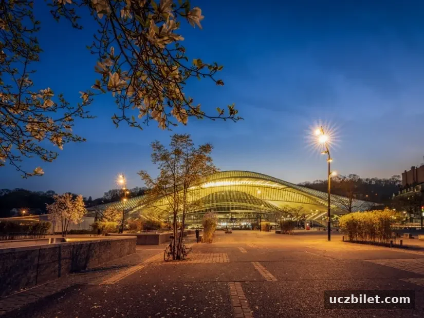 Liege, Belçika'daki Liege-Guillemins tren istasyonunun güzel dış cephesinin doğal bir görünümü