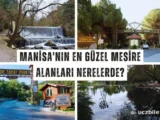 Manisa’nın En Güzel Mesire Alanları? Manisa’da Gezilecek Yerler?