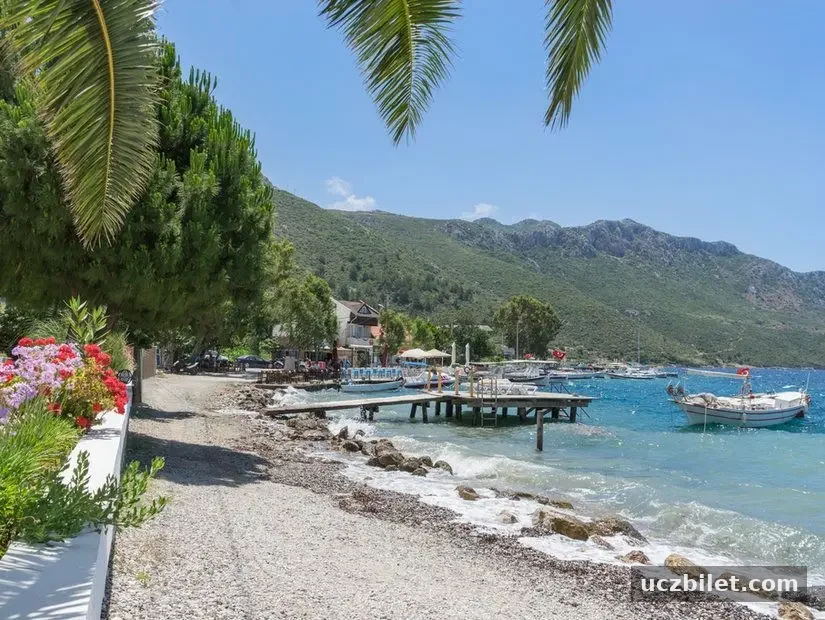 Marmaris Söğüt