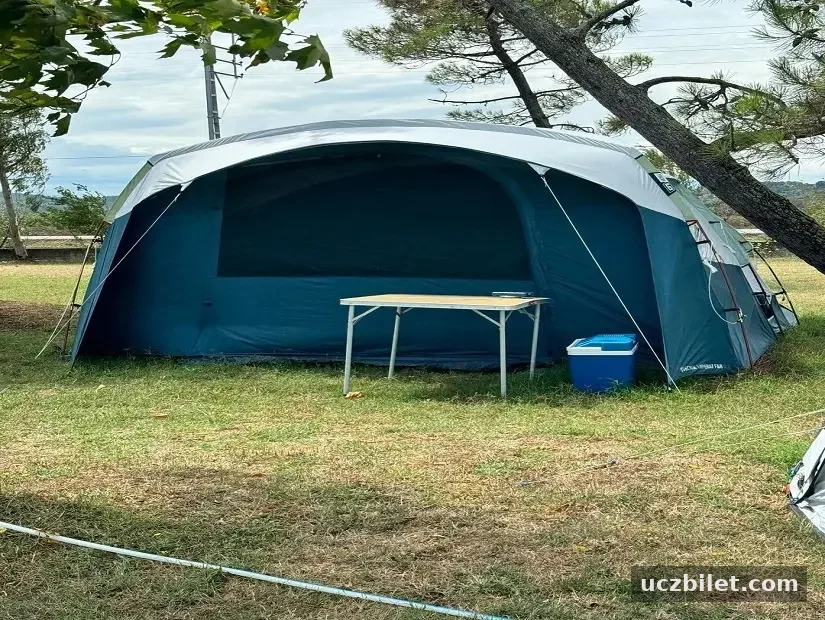 Martı Kamping