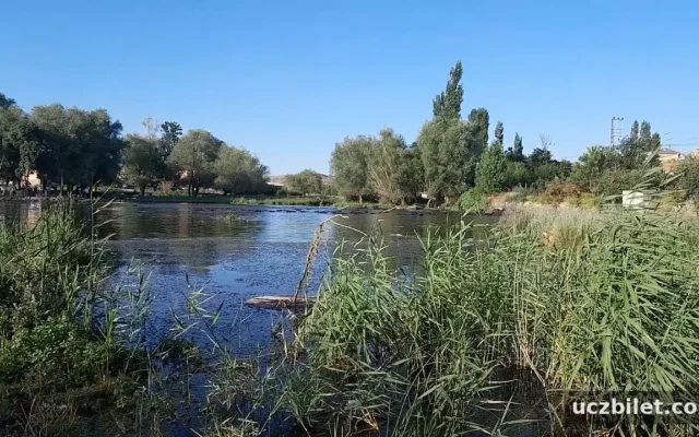 Mehmet Kalem'den Dokuzpınar izlenimleri