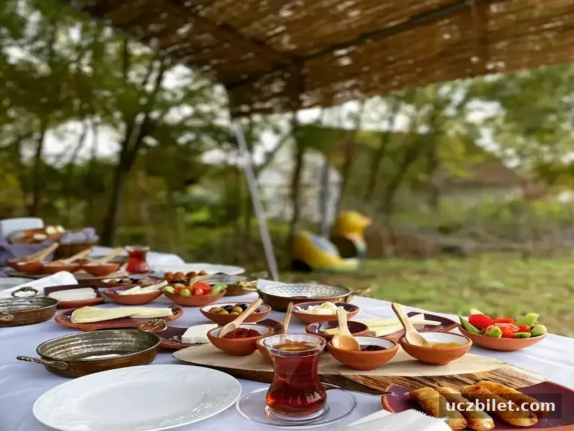 Mevsim Bahar Piknik ve Kır Restaurant / İnceğiz