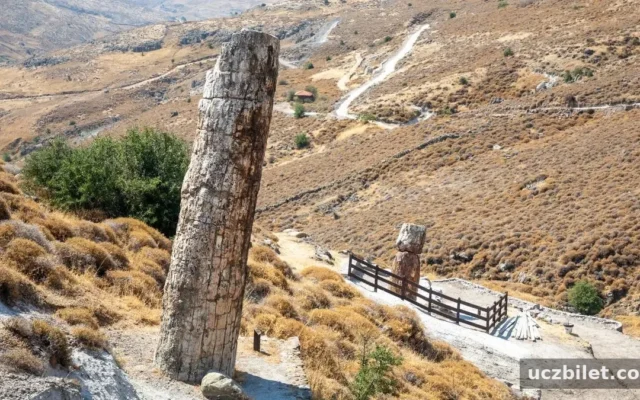 Midilli Adası'nda neler yapılır?