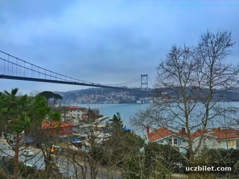 Mihrabat korusu havadan görünümü