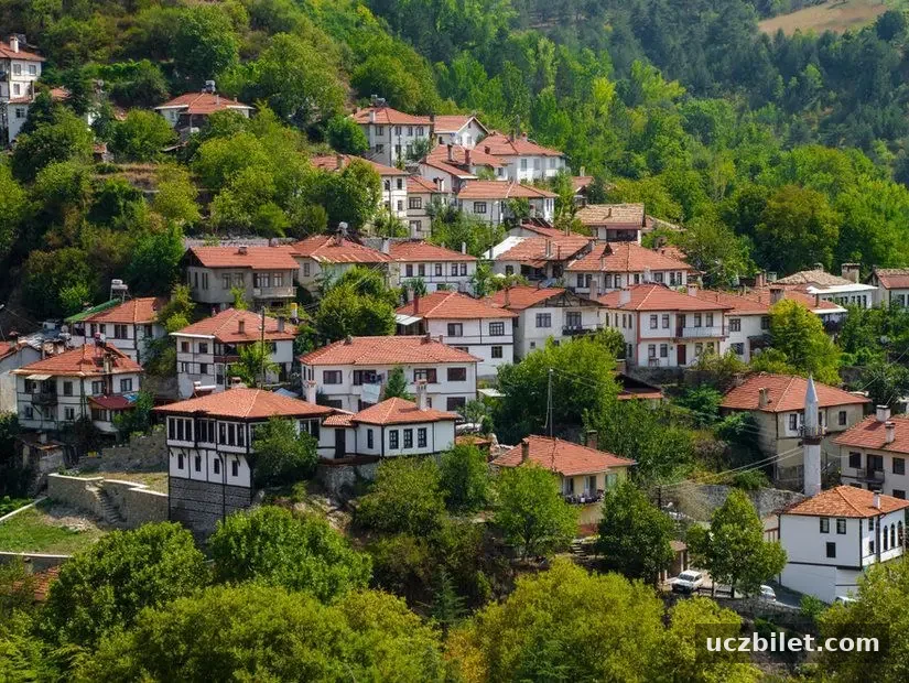 Mudurnu