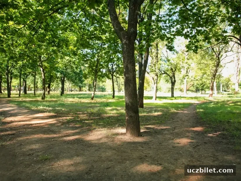 Neşetsuyu Tabiat Parkı örnek görseli