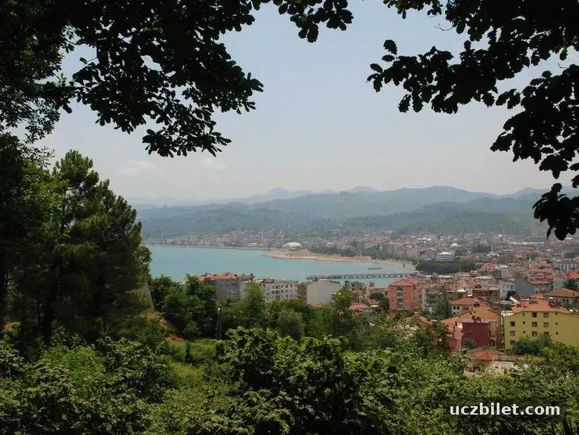 ORDU | harikakora