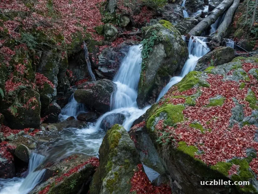 oylat şelalesi bursa