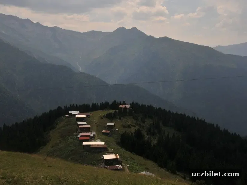 Pokut Yaylası Rize Çamlıhemşin,Karadeniz ve Türkiye'deki Pokut Yaylası görünümü