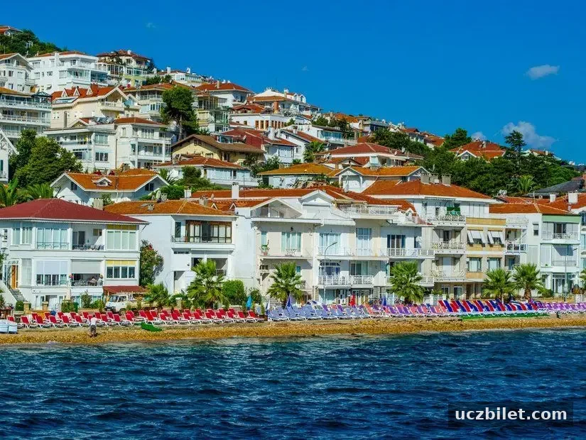 Prenses Koyu arkada  yerleşim yerleri görünümü