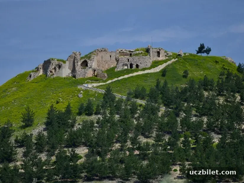 revanda kalesi panoramik görünüm