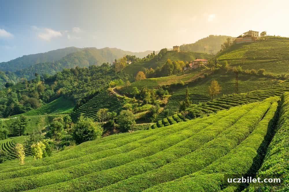 Rize’nin Meşhur Yemekleri