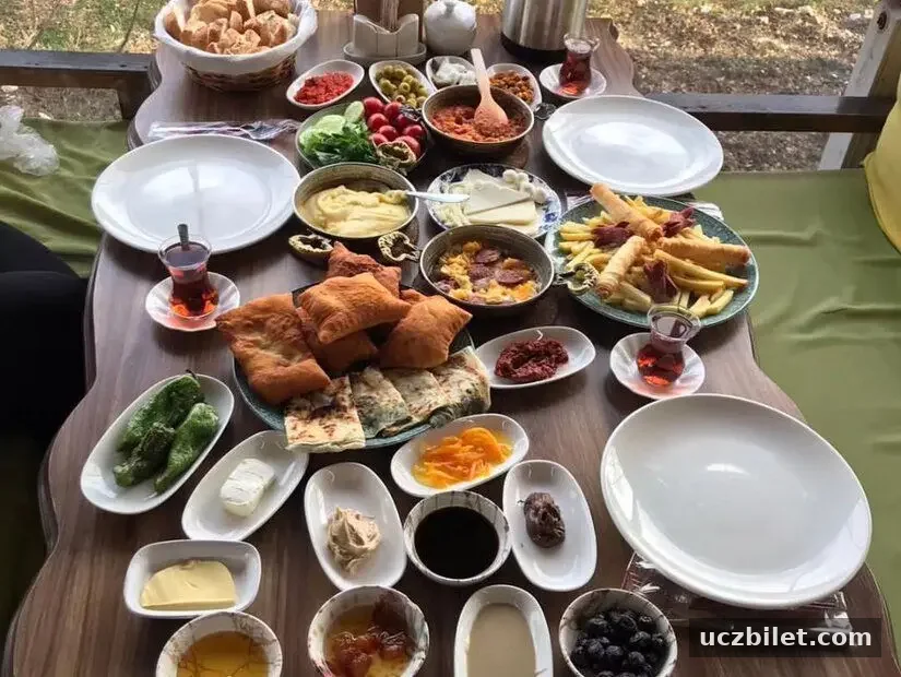 Safransisco Bahçe / Safran
