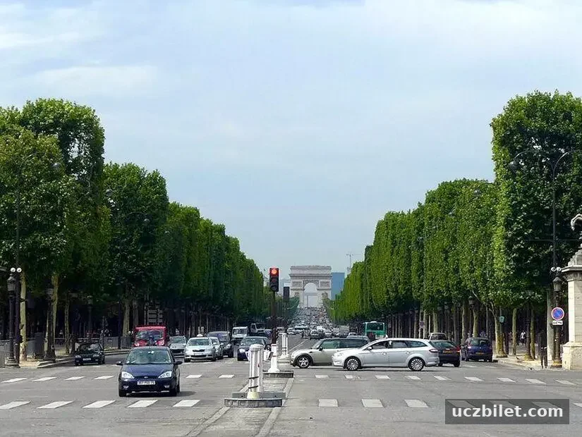 şanzelize caddesi üzerinde yol boyu sıralanmış ağaçlar