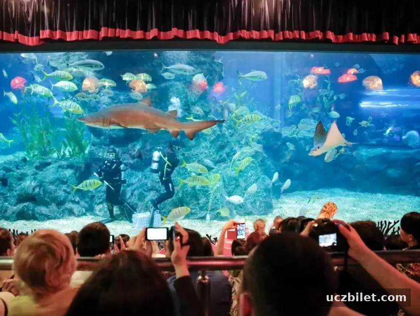 Sea Life Bangkok Ocean World görünümü