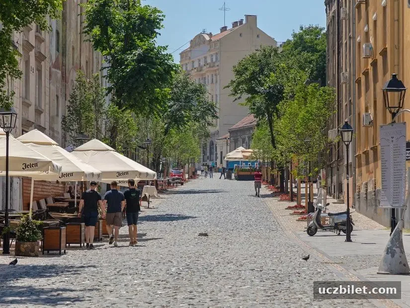 Sıcak Yaz Gününde Boş Skadarlija Arnavut Kaldırım Taşları Caddesi.