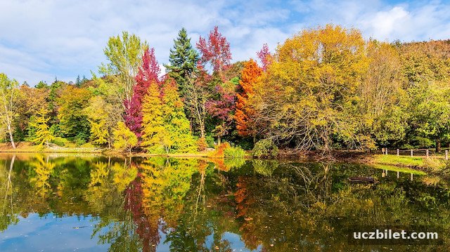 Sonbaharda İstanbul’da gezilecek yerler: Atatürk Arboretumu’ndan Burgazada’ya