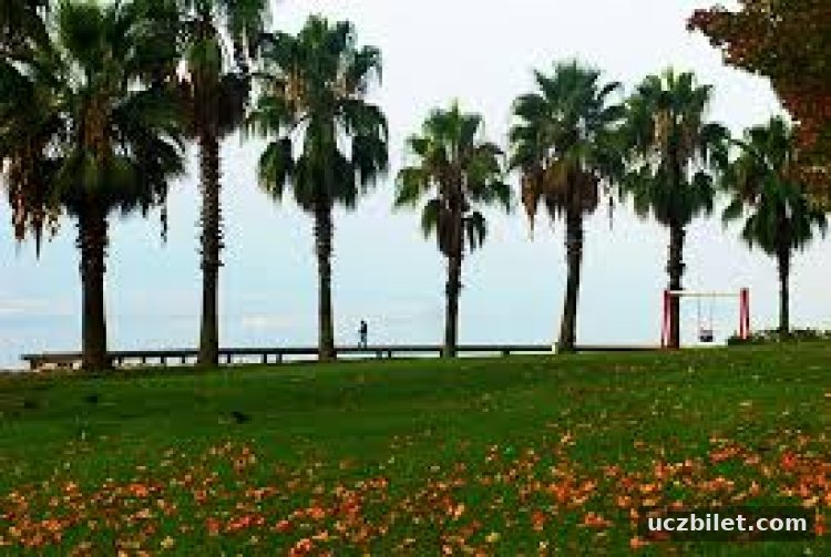 Sonbaharda Kocaeli'de gezilecek yerler