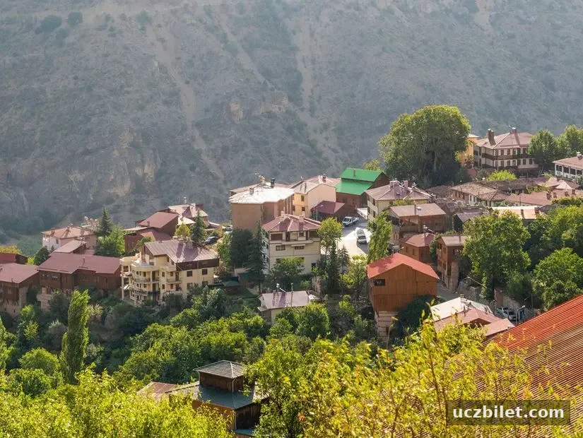 Tarihi Kemaliye Evleri havadan görünümü