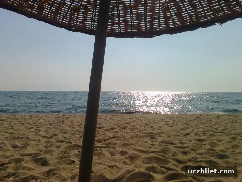 tekirdag-altinova-plaji