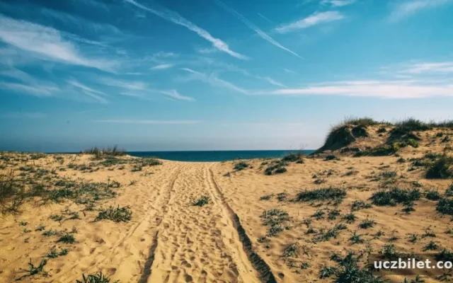 Tekirdağ’ın en güzel kamp alanları