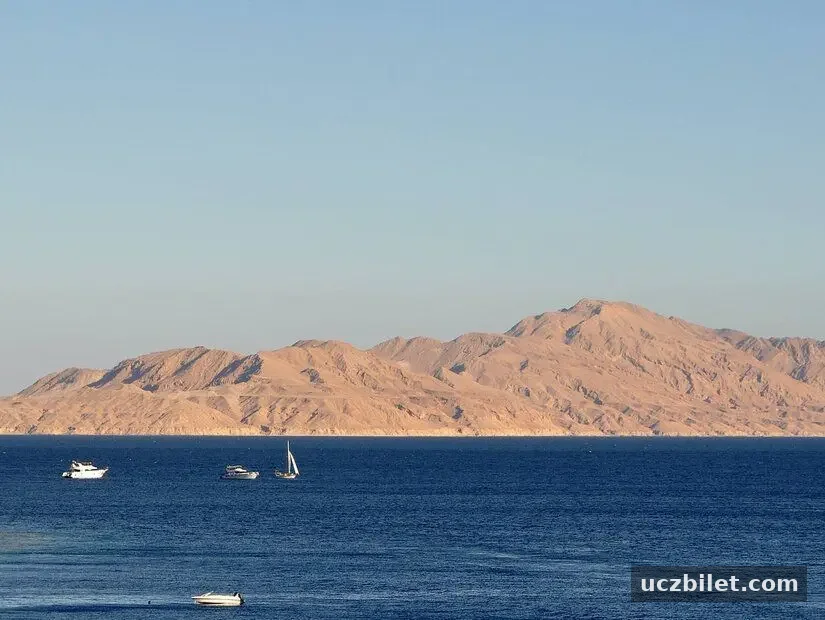 tiran-adasi