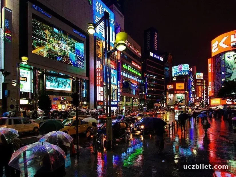 Tokyo, Japonya