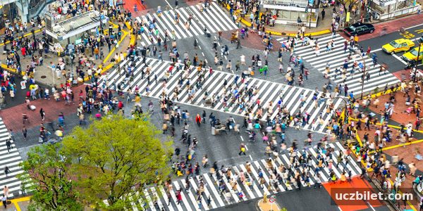 Tokyo’da Gezilecek Yerler: En İyi 35 Yer (2026)