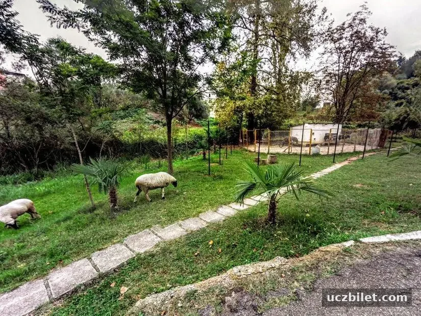 Ülkedeki ilk hayvanat bahçesi olarak tarihe geçen Tiran Zoo