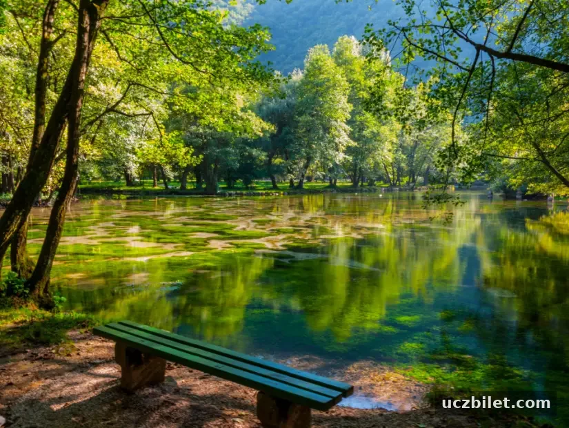 Vrelo Bosne yeşil alan içinde olan derenin görünümü