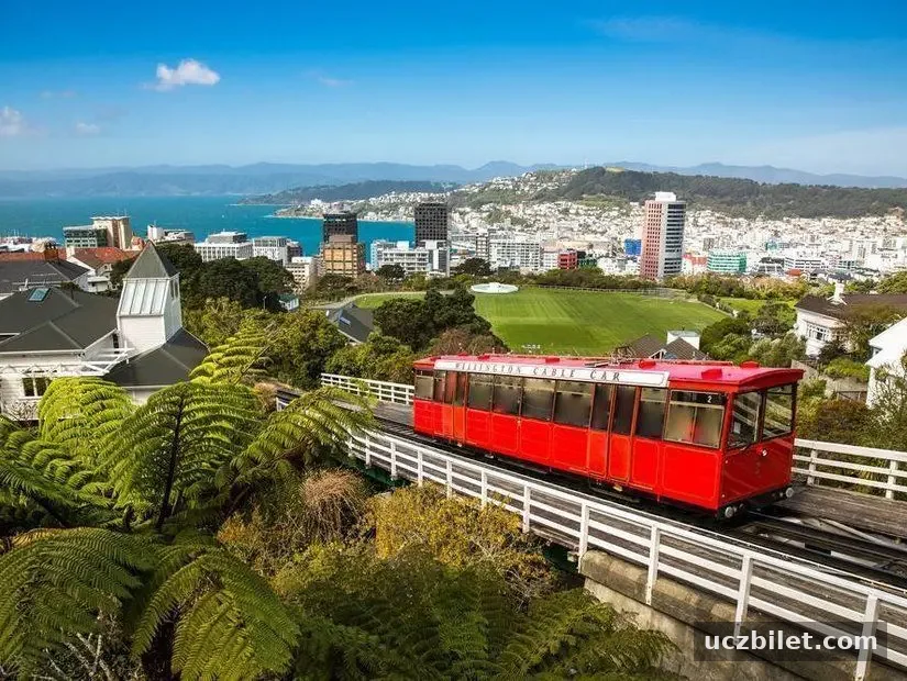 Wellington