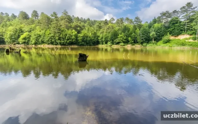 Yalova'nın en güzel tatil yerleri