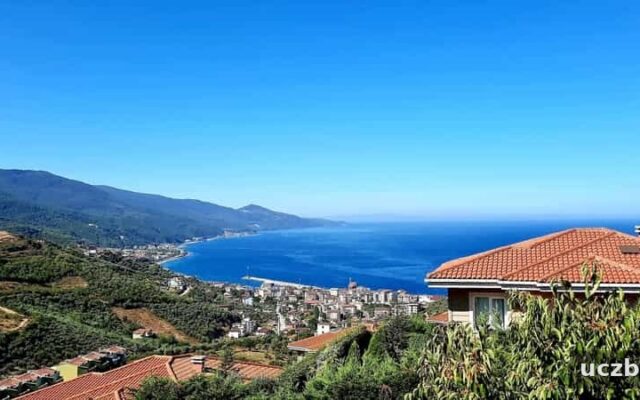 Yalova’nın Meşhur Yemekleri