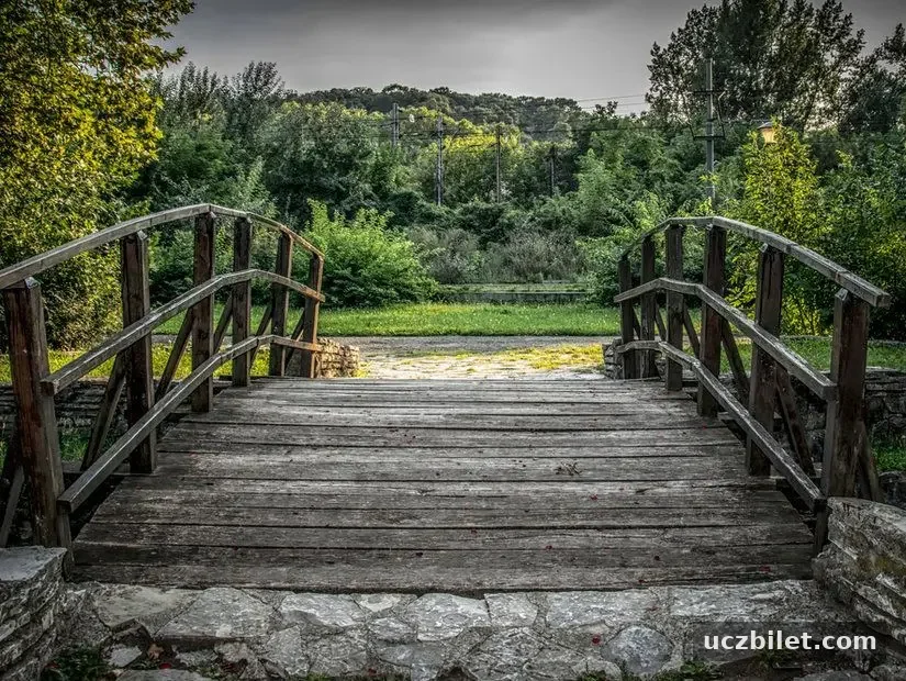 Yaz sonunda Belgrad'daki Topcider Park'ta görünümü