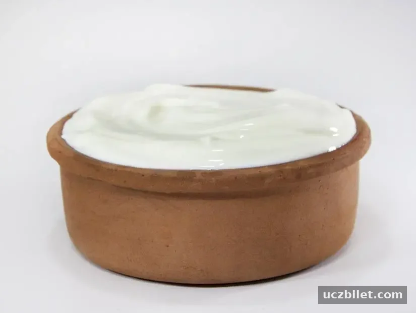 Yoghurt