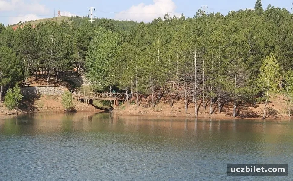 Yozgat Mardinarasıkackm (2)